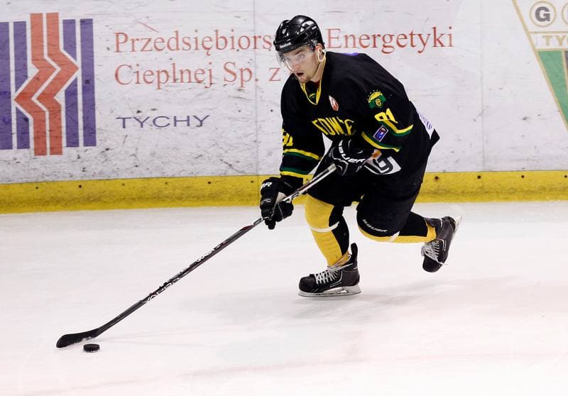 Ice Hockey. Polska Hokej Liga. GKS Tychy - HC GKS Katowice. 25.10.2013