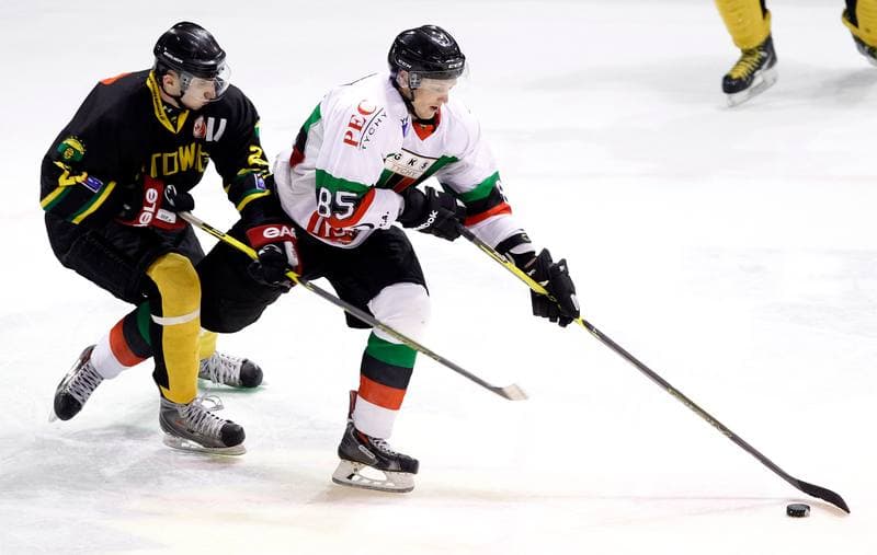Ice Hockey. Polska Hokej Liga. GKS Tychy - HC GKS Katowice. 25.10.2013