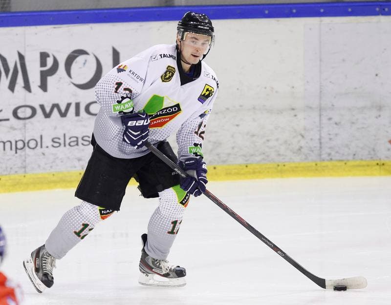 Ice Hockey. Polska Hokej Liga. Naprzod Janow - Polonia Bytom. 09.10.2014
