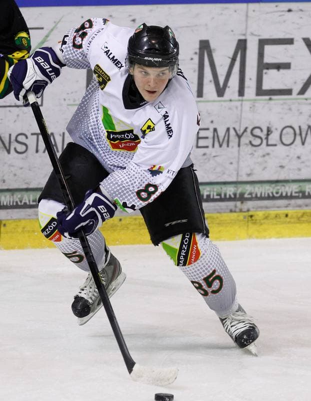 Ice Hockey. Polska Hokej Liga. Naprzod Janow - HC GKS Katowice. 06.01.2015