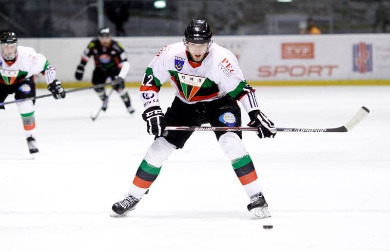Ice Hockey. Polska Hokej Liga. GKS Tychy - Ciarko KH Sanok. 26.11.2013