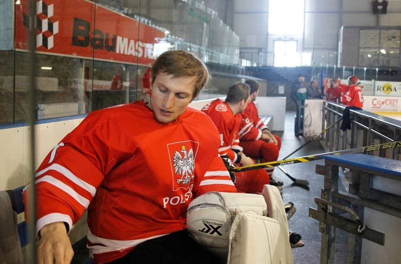 Ice Hockey. Poland national team. Training. 14.04.2015