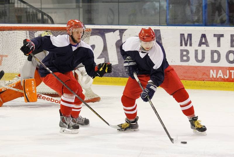 Ice Hockey. Poland national team. Training. 14.04.2015