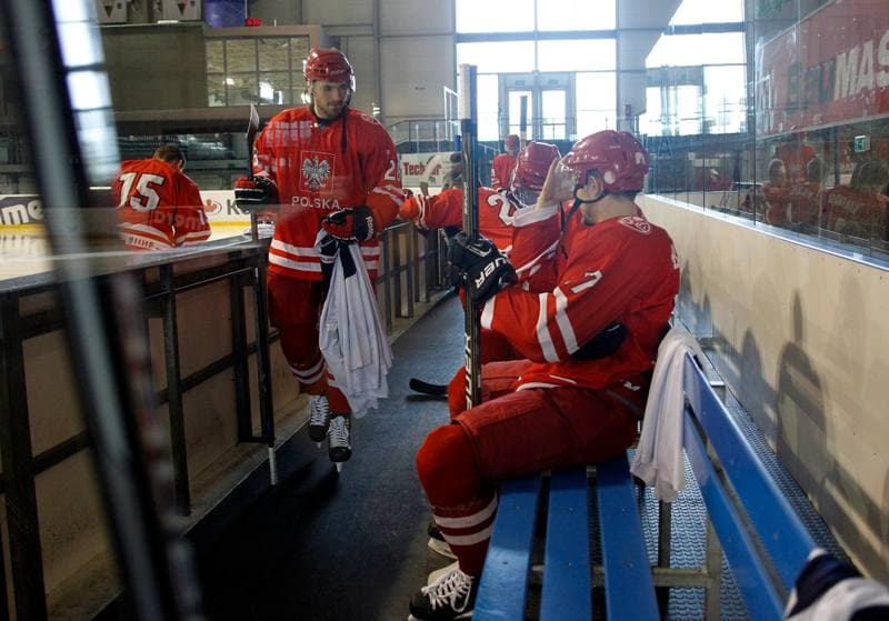 Ice Hockey. Poland national team. Training. 14.04.2015
