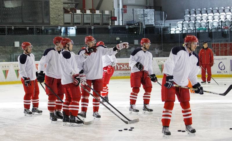 Ice Hockey. Poland national team. Training. 14.04.2015