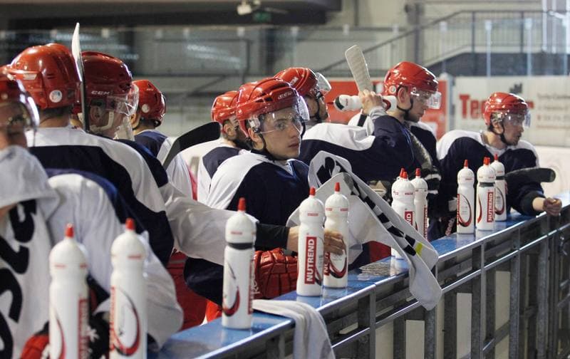 Ice Hockey. Poland national team. Training. 14.04.2015