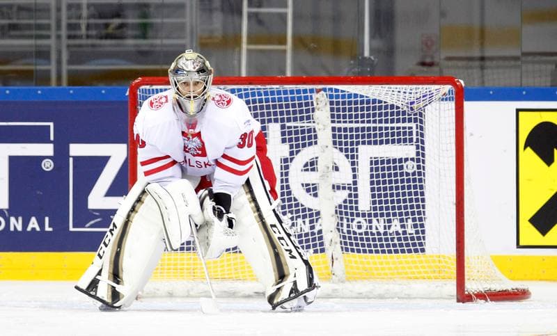 Ice Hockey. IIHF World Championship Division 1A. Poland - Japan. 20.04.2015