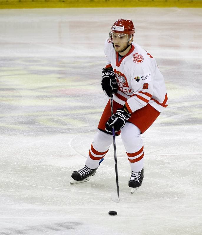 Ice Hockey. Euro Ice Hockey Challenge. Poland - Slovenia. 05.11.2015