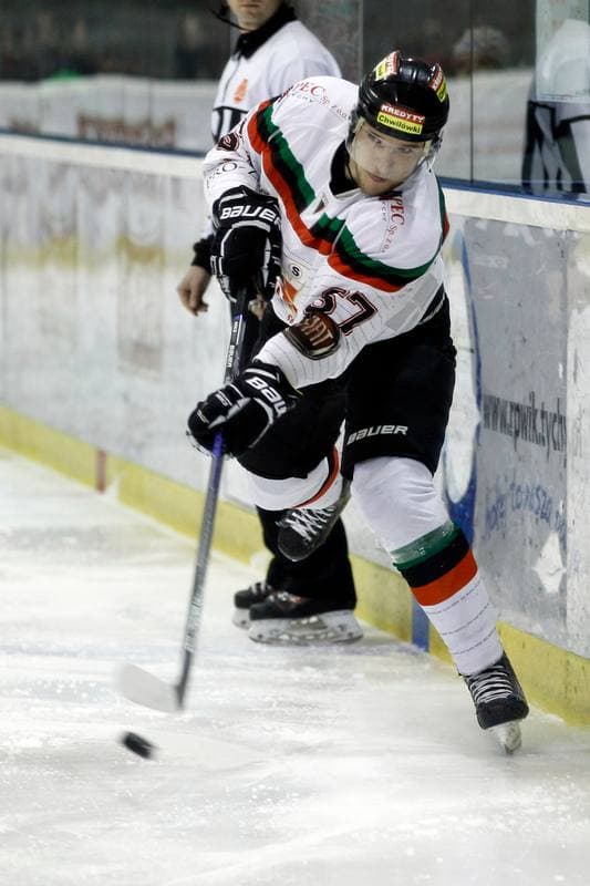 Ice Hockey. Polska Hokej Liga. GKS Tychy - Ciarko STS Sanok. 15.01.2016