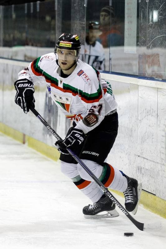 Ice Hockey. Polska Hokej Liga. GKS Tychy - Ciarko STS Sanok. 15.01.2016