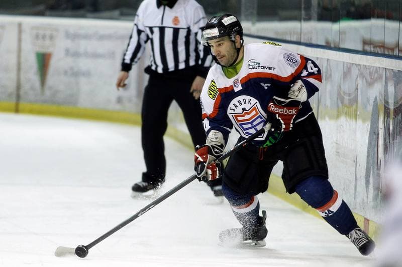 Ice Hockey. Polska Hokej Liga. GKS Tychy - Ciarko STS Sanok. 15.01.2016