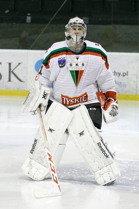 Ice Hockey. Polska Hokej Liga. GKS Tychy - Ciarko STS Sanok. 15.01.2016