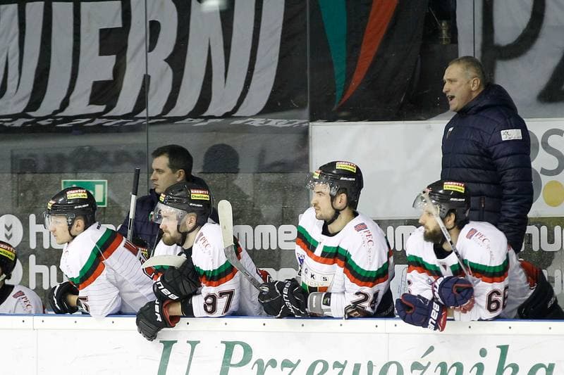 Ice Hockey. Polska Hokej Liga. GKS Tychy - Ciarko STS Sanok. 15.01.2016