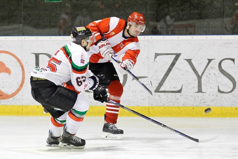 Ice Hockey. Polska Hokej Liga. GKS Tychy - Comarch Cracovia Krakow. 26.01.2016