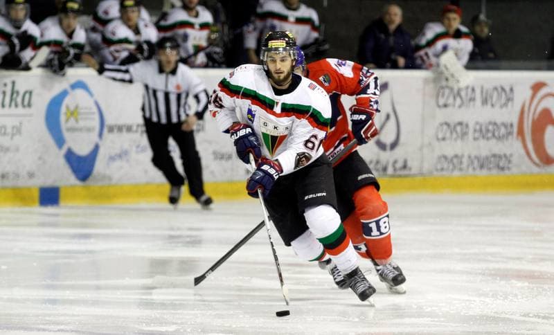 Ice Hockey. Tauron Hokej Liga. GKS Tychy - Polonia Bytom. 19.02.2016