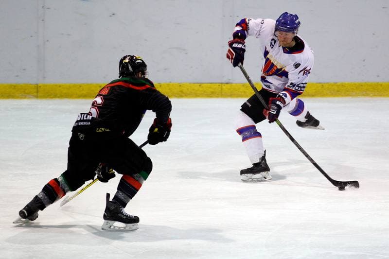 Ice Hockey. Tauron Hokej Liga. Polonia Bytom - GKS Tychy. 23.02.2016