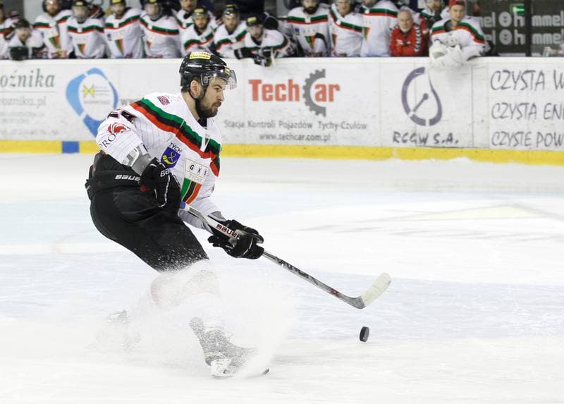 Ice Hockey. Polish Hockey League. GKS Tychy - Comarch Cracovia. 18.03.2016