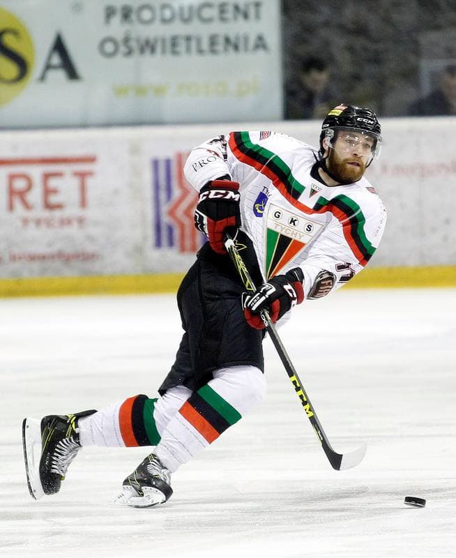 Ice Hockey. Polish Hockey League. GKS Tychy - Comarch Cracovia. 24.03.2016
