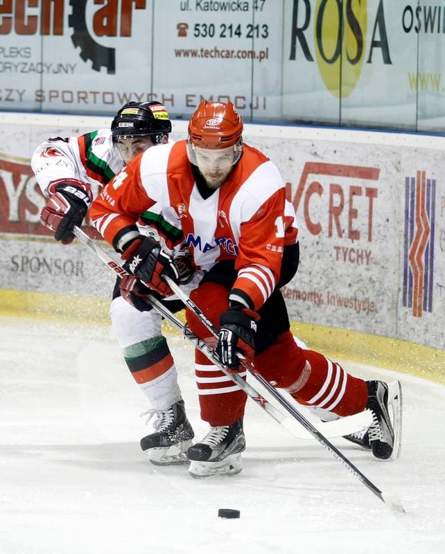 Ice Hockey. Polish Hockey League. GKS Tychy - Comarch Cracovia. 24.03.2016