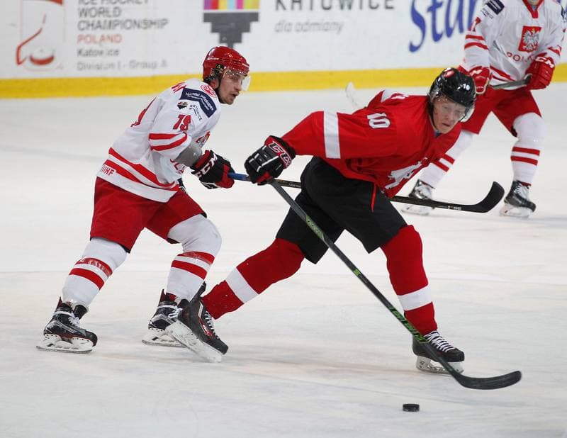 Ice Hockey. International Friendly Match. Poland - Lithuania. 14.04.2016