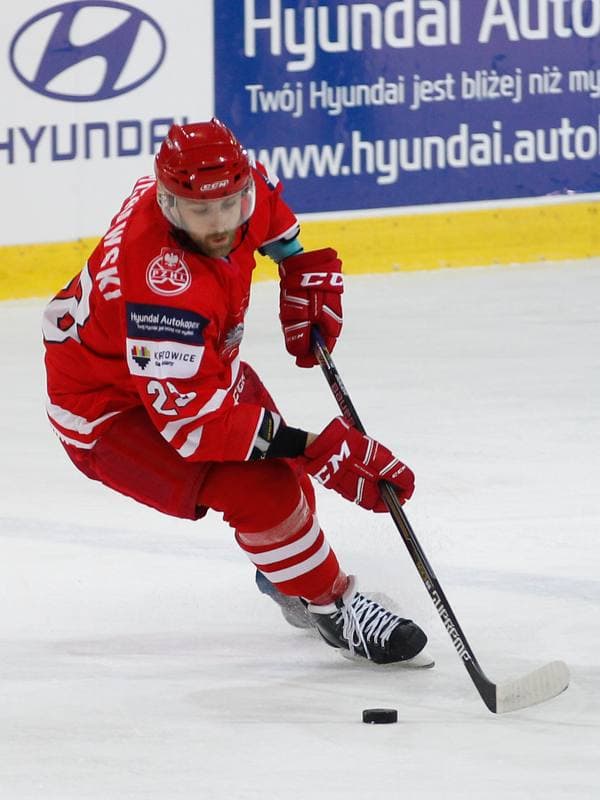 Ice Hockey. International Friendly Match. Poland - Korea. 16.04.2016
