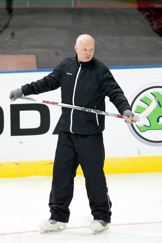 Ice Hockey. Poland national team. Training. 24.04.2016