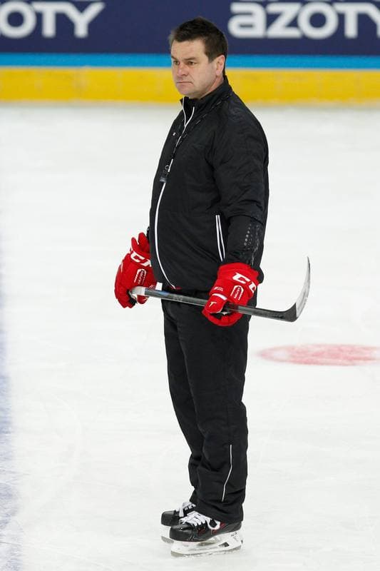 Ice Hockey. Poland national team. Training. 24.04.2016