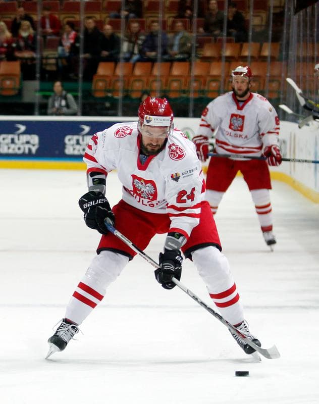 Ice Hockey. World Championship Division 1A. Poland - Slovenia. 26.04.2016
