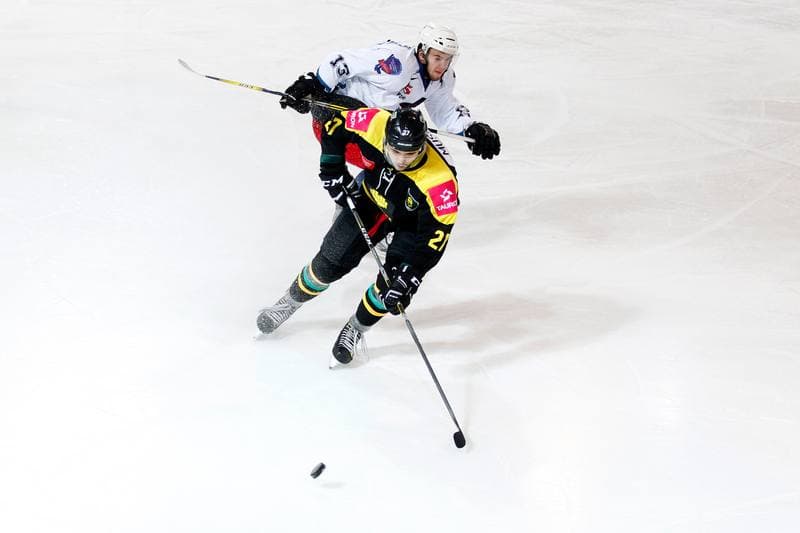 Ice Hockey. Tauron Hokej Liga. GKS Katowice - SMS PZHL Sosnowiec. 27.11.2016