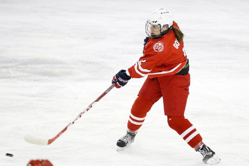Ice Hockey. Women's U18 Friendly Match. Poland - China. 04.01.2017