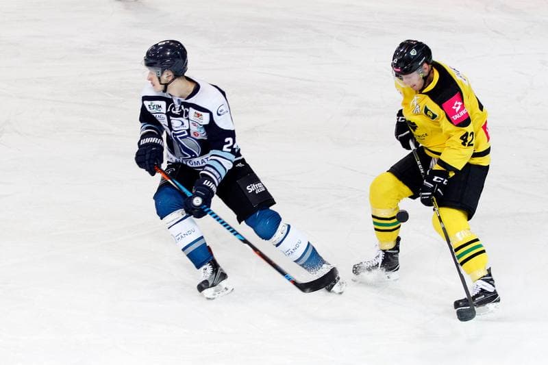 Ice Hockey. Polska Hokej Liga. Tauron KH GKS Katowice - MH Automatyka Gdansk. 10.01.2017