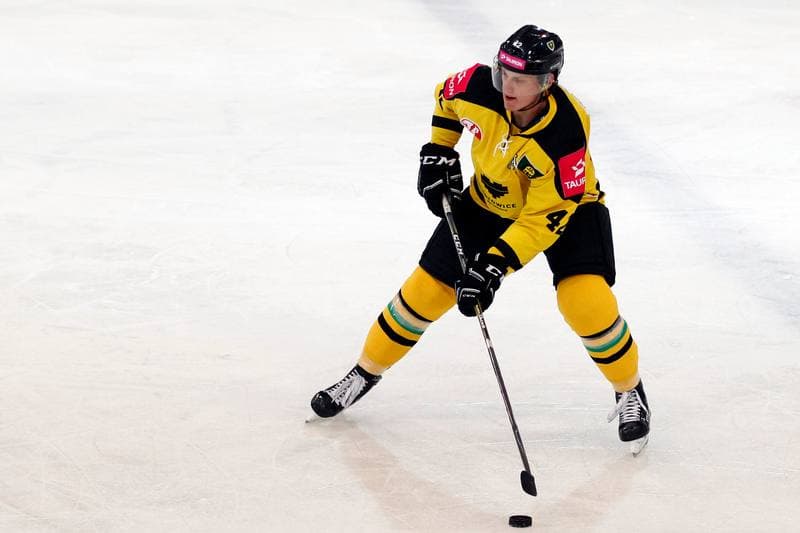 Ice Hockey. Tauron Hokej Liga. Tauron KH GKS Katowice - Nesta Torun. 22.01.2017