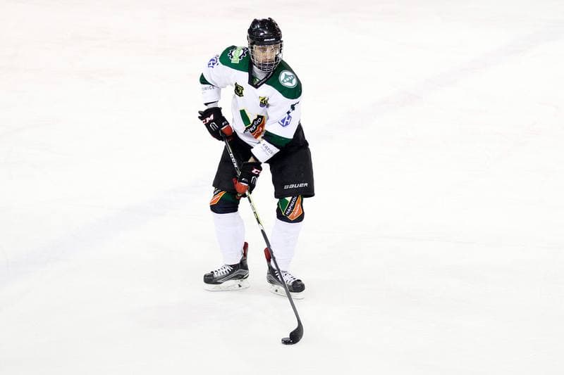 Ice Hockey. I Liga. Naprzod Janow - Zaglebie Sosnowiec. 22.01.2017