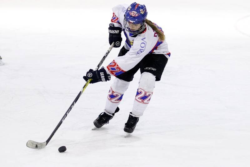 Ice Hockey. PLHK. Polonia Bytom - Atomowki Tychy. 27.01.2017