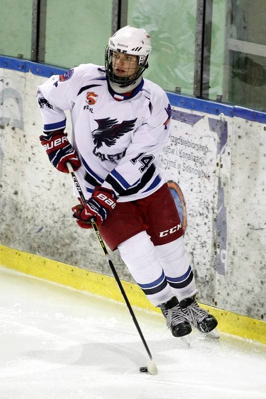 Ice Hockey. PHL. SMS PZHL Sosnowiec - Tauron KH GKS Katowice. 31.01.2017