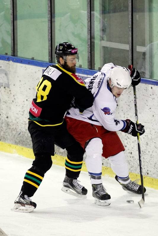 Ice Hockey. PHL. SMS PZHL Sosnowiec - Tauron KH GKS Katowice. 31.01.2017