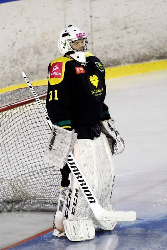 Ice Hockey. PHL. SMS PZHL Sosnowiec - Tauron KH GKS Katowice. 31.01.2017