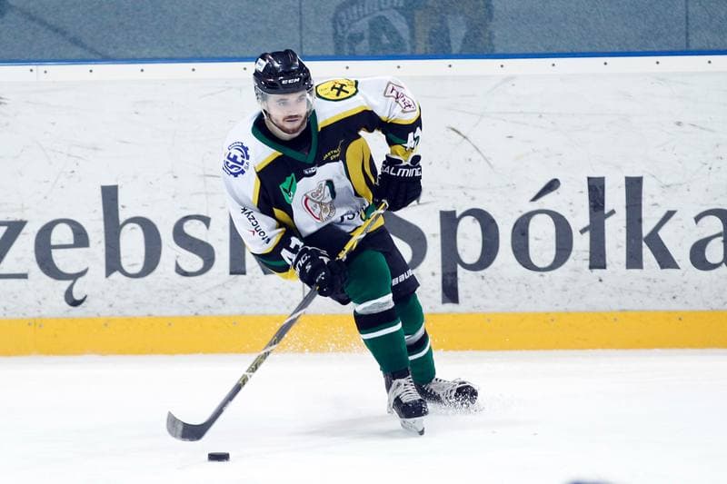 Ice Hockey. Polska Hokej Liga. JKH GKS Jastrzebie - Tempish Polonia Bytom. 05.02.2017