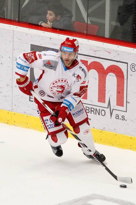Ice Hockey. Tipsport Extraliga. Ocelari Trinec - Bili Tygri Liberec. 05.02.2017
