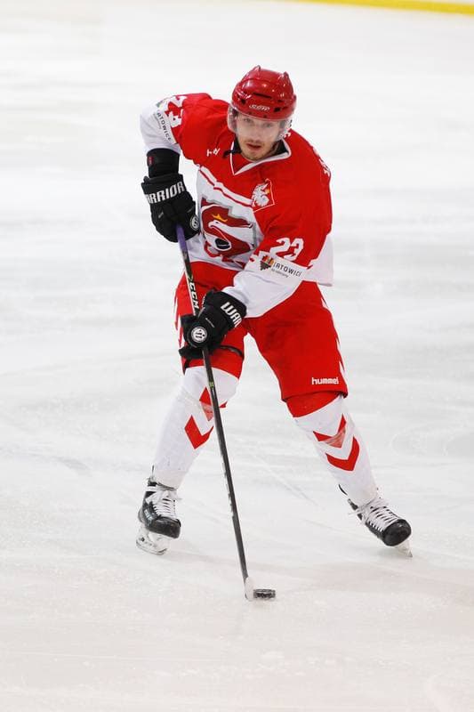 Ice Hockey. Euro Ice Hockey Challenge. Poland - Slovenia. 09.02.2017