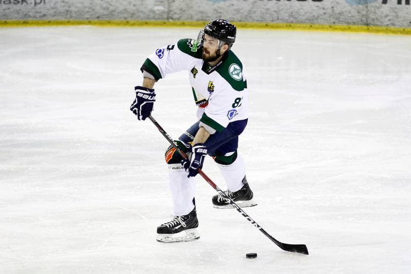 Ice Hockey. I Liga. Naprzod Janow - UKH Debica. 12.02.2017