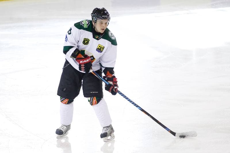 Ice Hockey. I Liga. Naprzod Janow - UKH Debica. 12.02.2017
