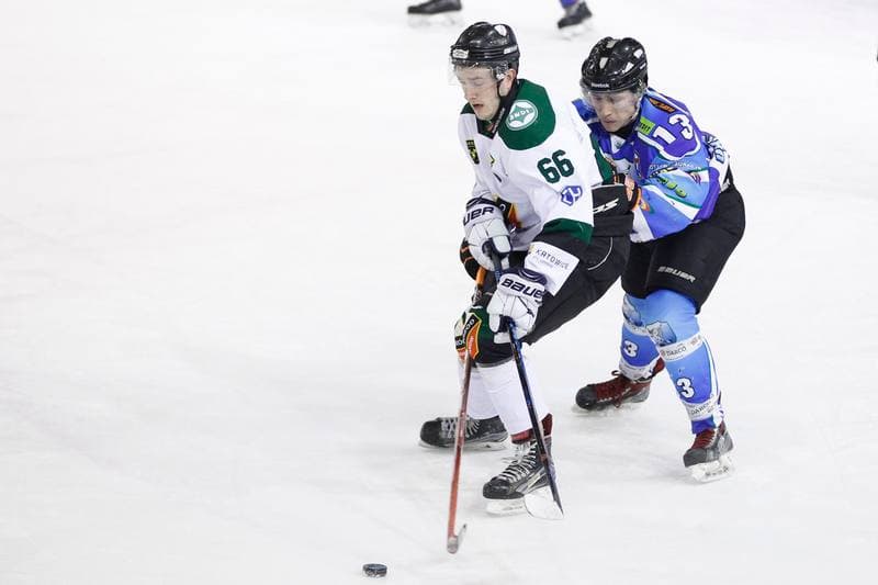 Ice Hockey. I Liga. Naprzod Janow - UKH Debica. 12.02.2017