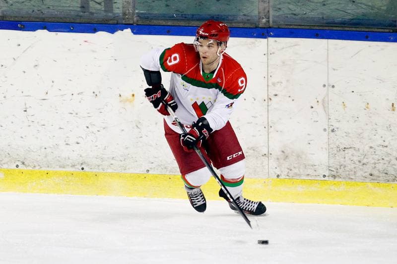 Ice Hockey. I Liga. Zaglebie Sosnowiec - UKH Debica. 18.02.2017