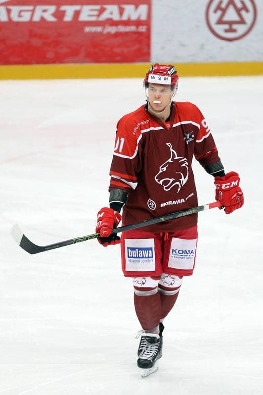 Ice Hockey. WSM Liga. HC Frydek-Mistek - HC Benatky nad Jizerou. 20.02.2017