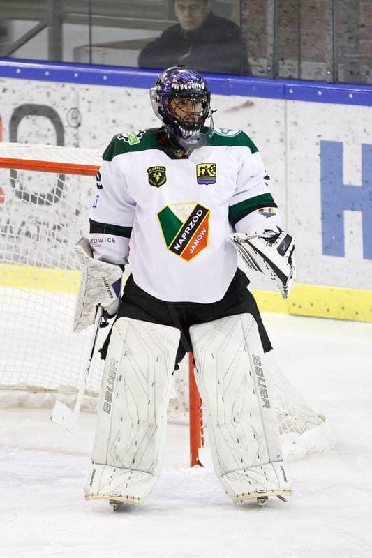 Ice Hockey. I Liga. Naprzod Janow - Zaglebie Sosnowiec. 12.03.2017
