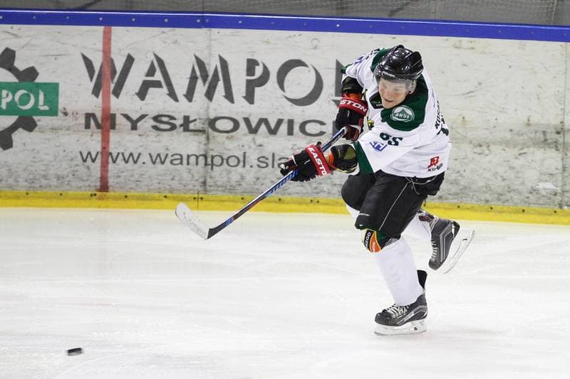 Ice Hockey. I Liga. Naprzod Janow - Zaglebie Sosnowiec. 12.03.2017