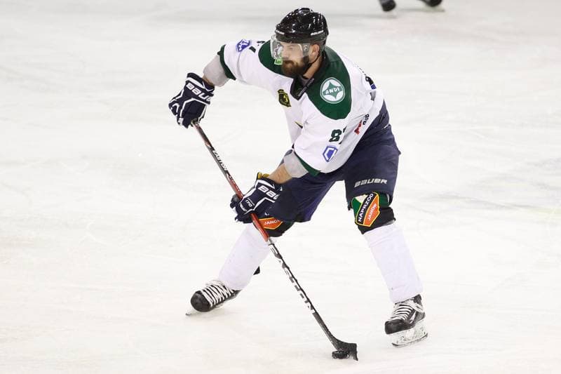 Ice Hockey. I Liga. Naprzod Janow - Zaglebie Sosnowiec. 12.03.2017