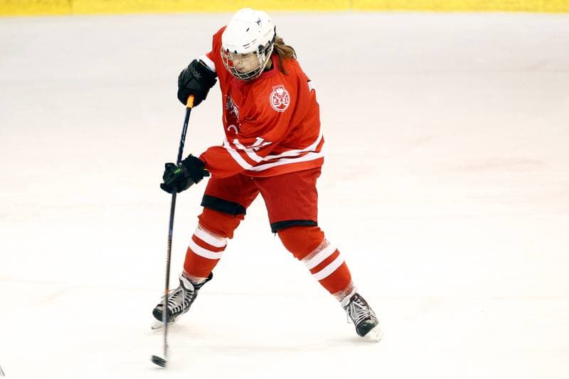 Ice Hockey. Women's Friendly Match. Poland - Ontario. 04.04.2017