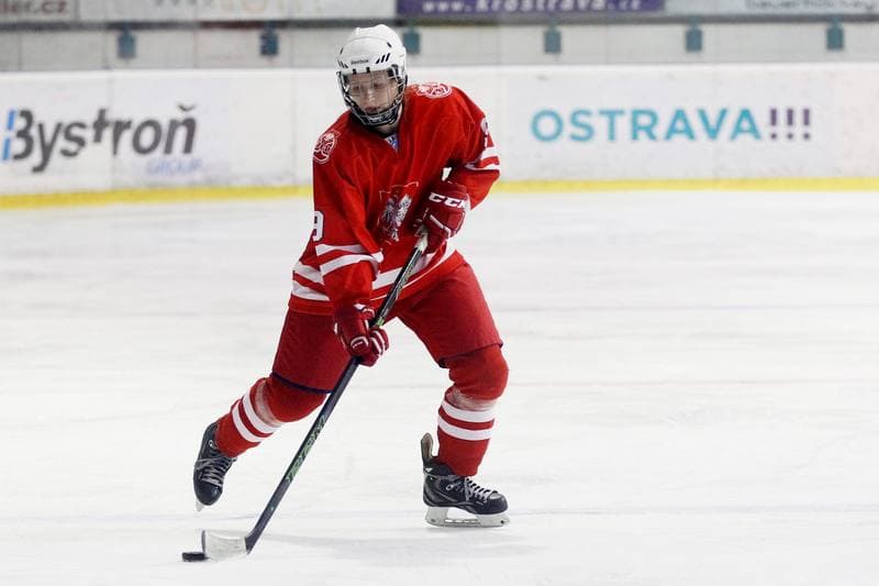 Ice Hockey. Women's Friendly Match. Poland - Ontario. 04.04.2017